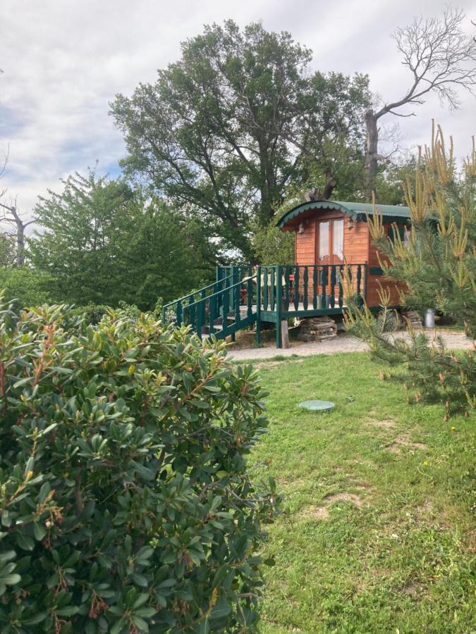 Domaine La Carriere Villa Toulon-sur-Allier Exterior photo